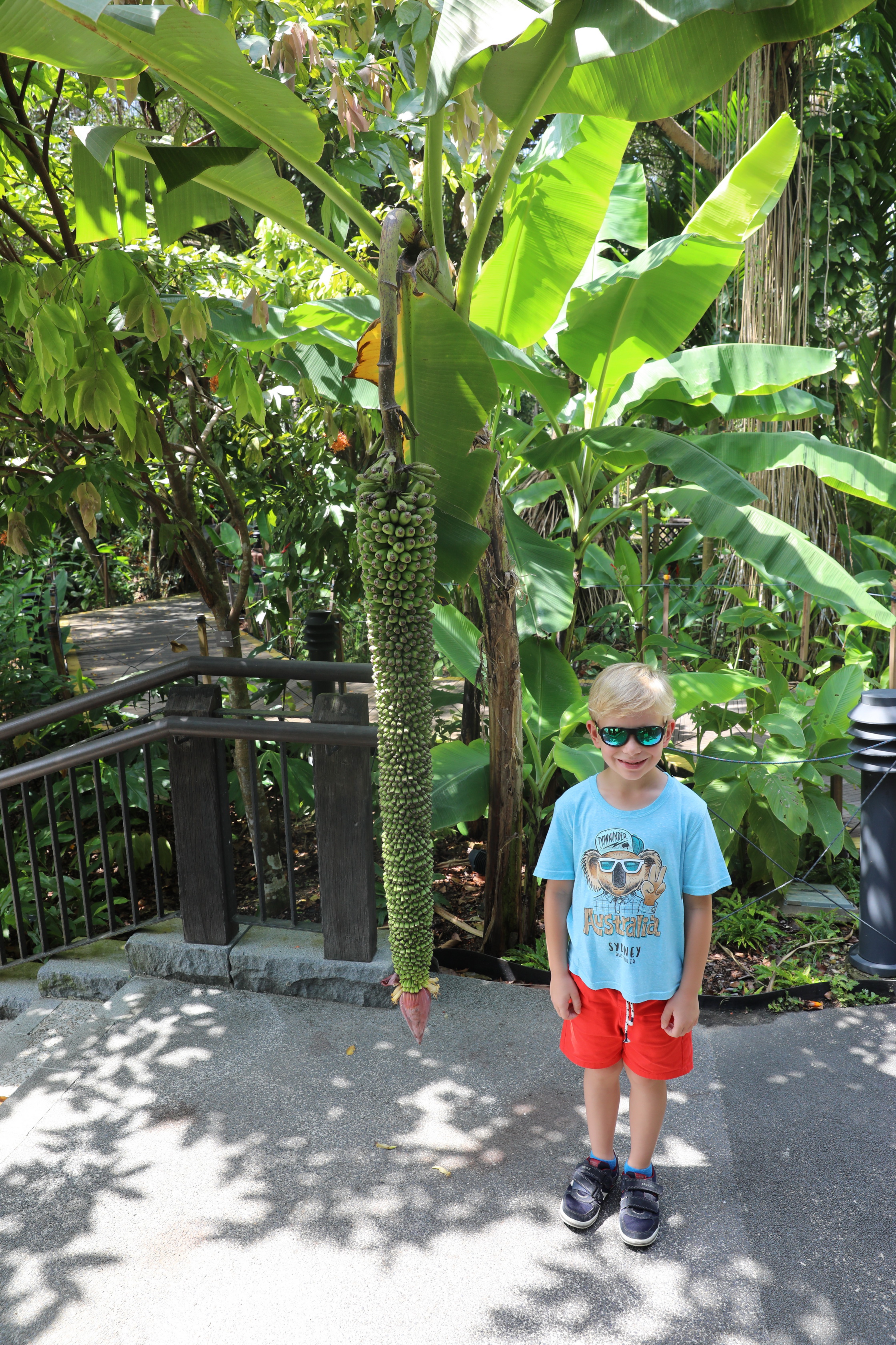 2020 02 03 14 56 09 Canon EOS 5D Mark IV 0027